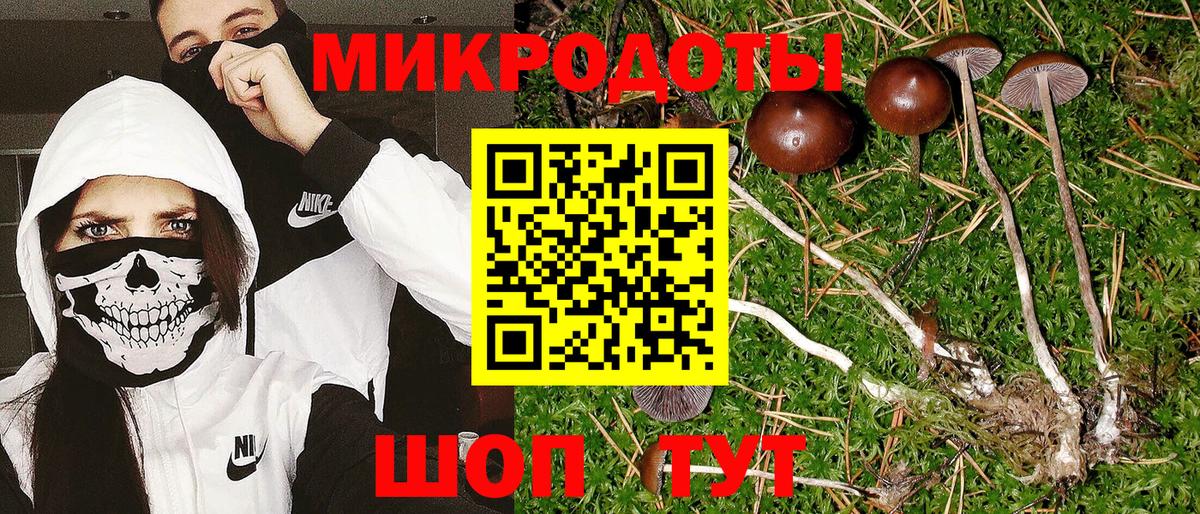 Галлюциногенные грибы прущие грибы Бугуруслан