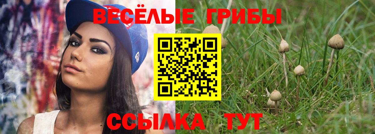 Псилоцибиновые грибы прущие грибы  Вход с VPN  Бугуруслан 